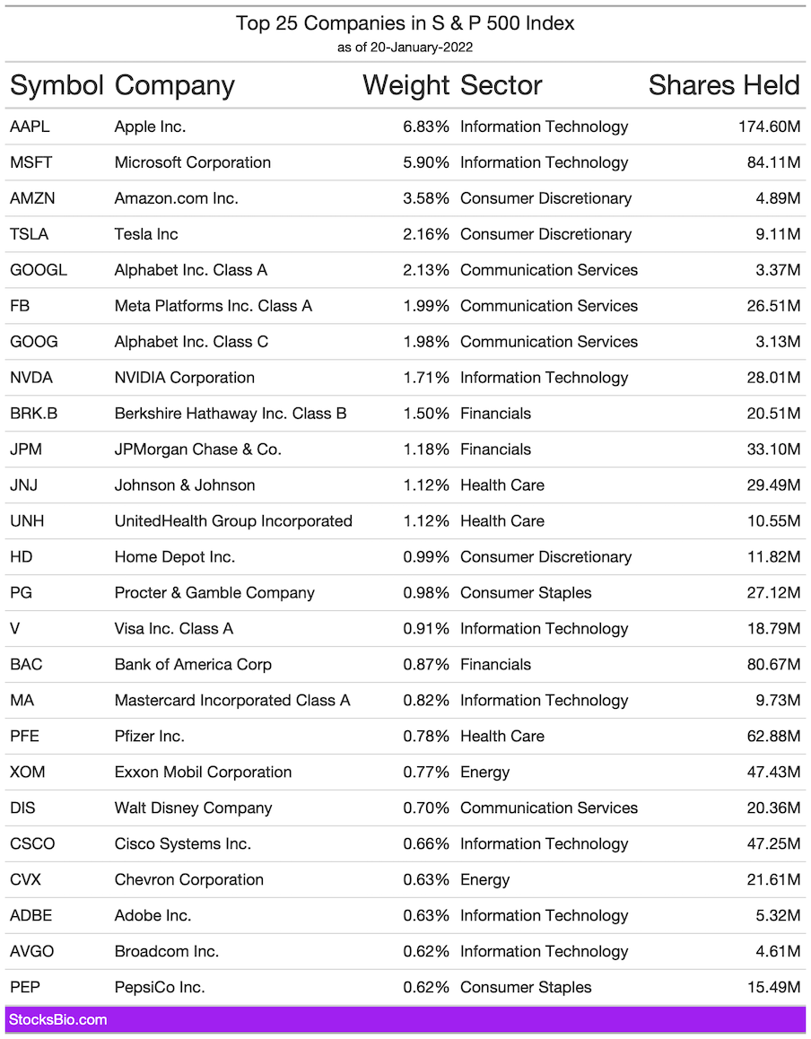Top 25 Companies in S&P 500 index